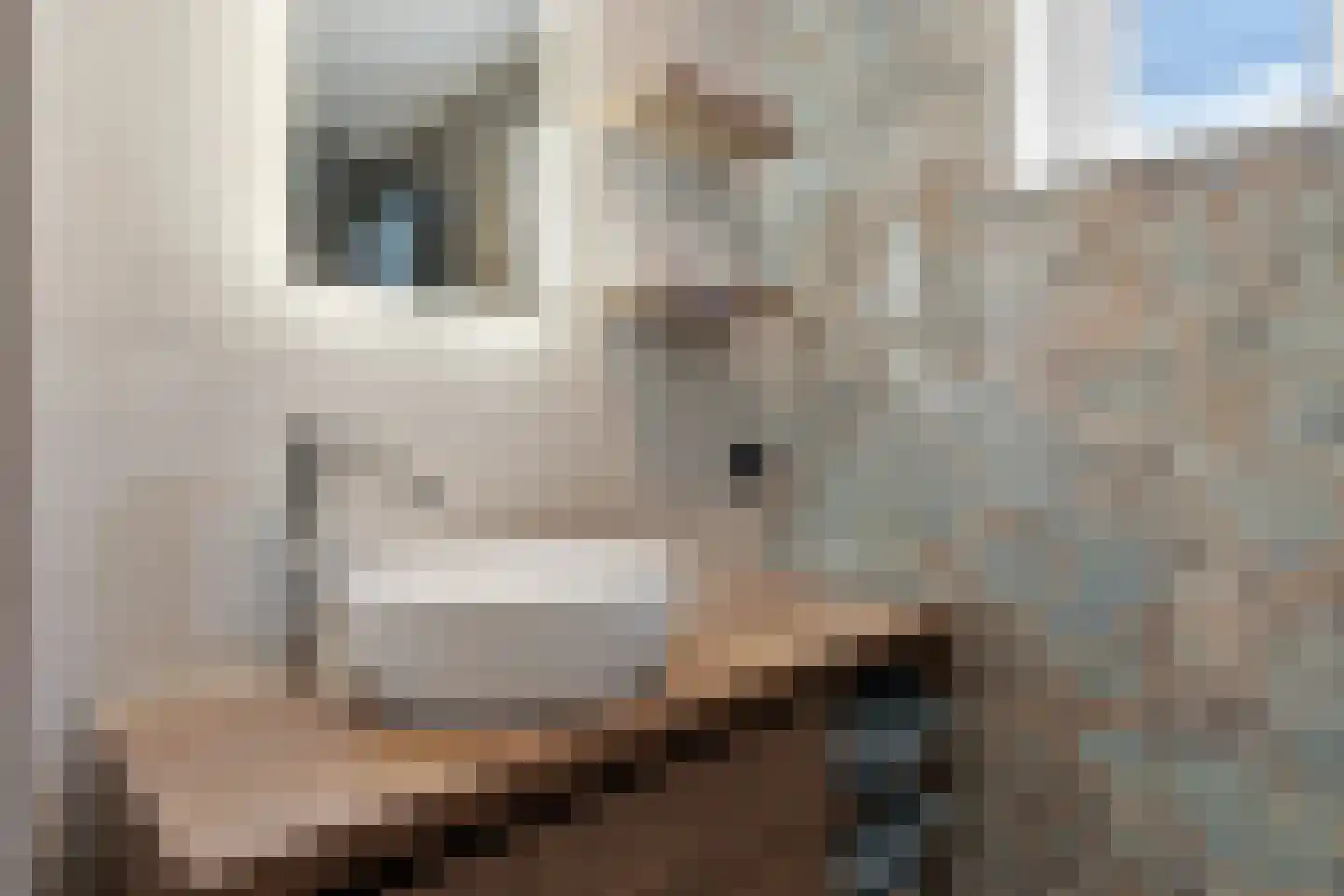 van Echtenstraat 16 12 Hoogeveen thumbnail 26