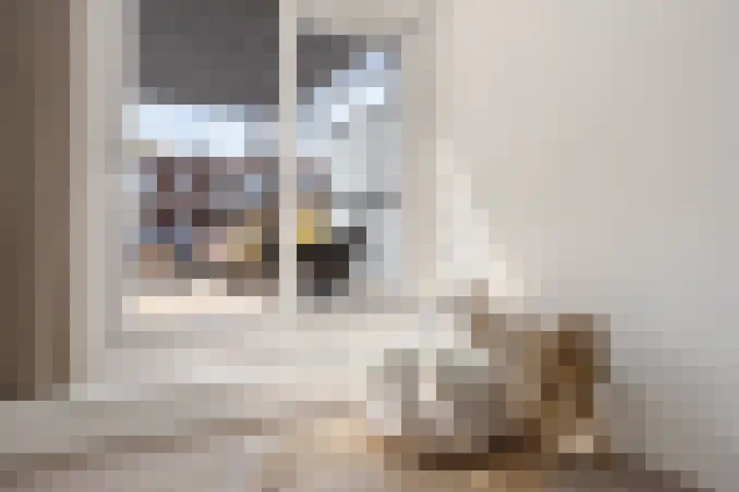 van Echtenstraat 16 12 Hoogeveen thumbnail 32
