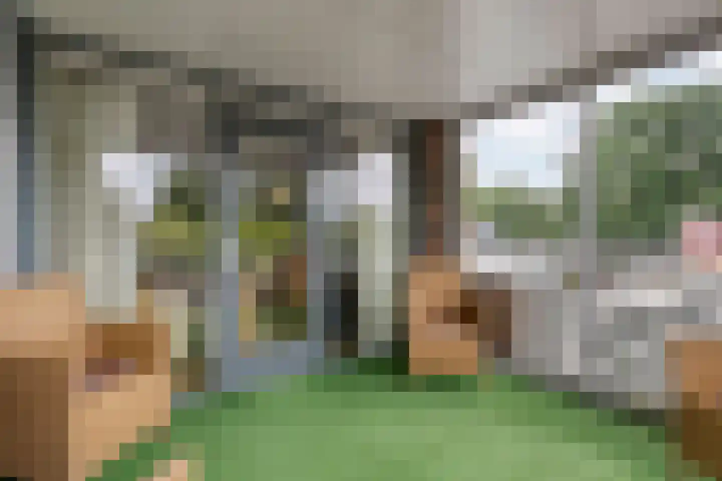 van Echtenstraat 29 22 Hoogeveen thumbnail 15