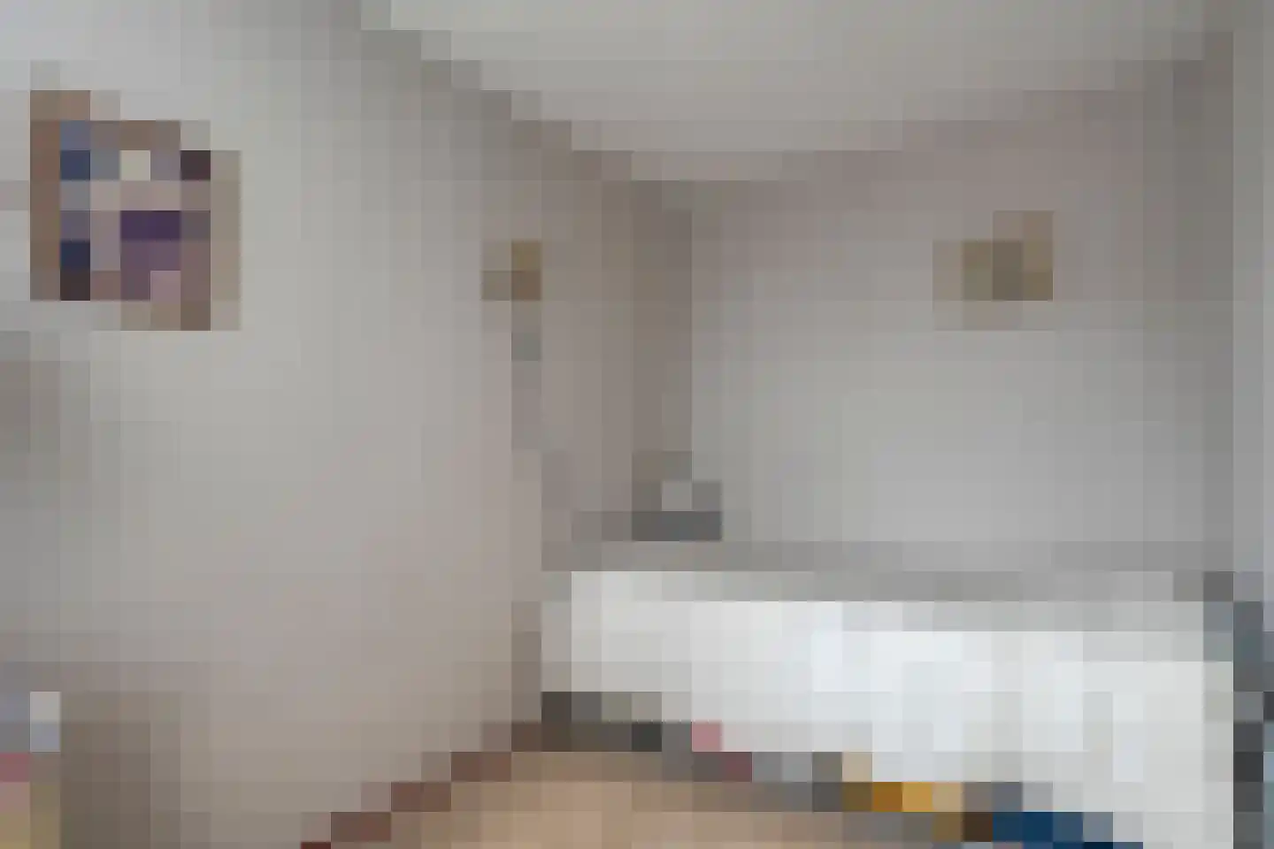 van Echtenstraat 29 22 Hoogeveen thumbnail 21