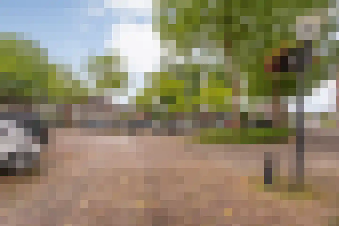 van Echtenstraat 29 22 Hoogeveen thumbnail 33