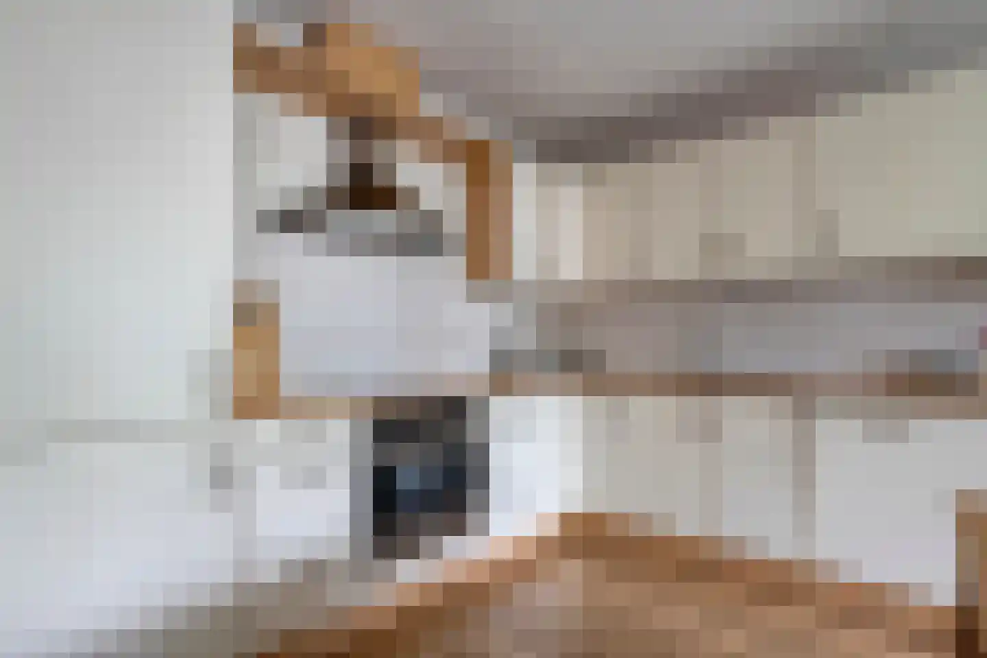 van Echtenstraat 29 22 Hoogeveen thumbnail 7