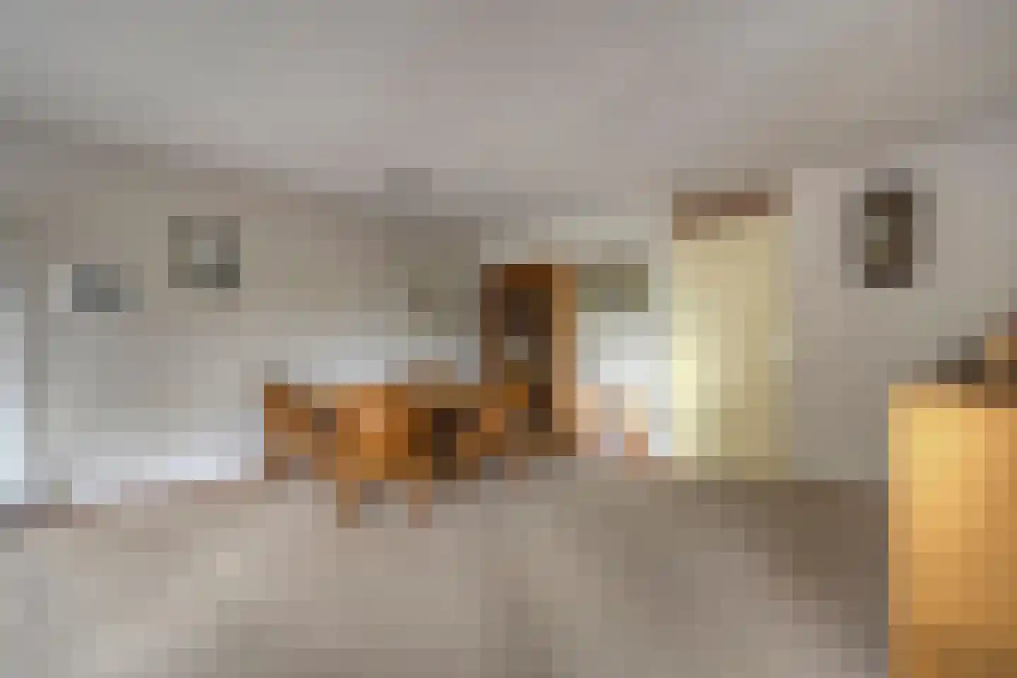 van Echtenstraat 29 22 Hoogeveen thumbnail 8