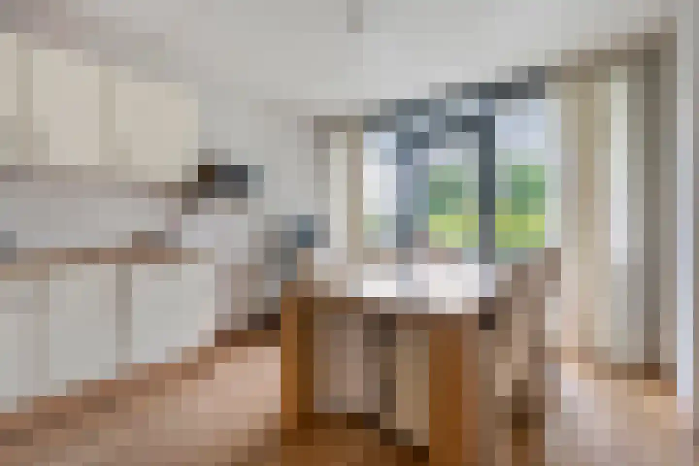 van Echtenstraat 29 22 Hoogeveen thumbnail 8