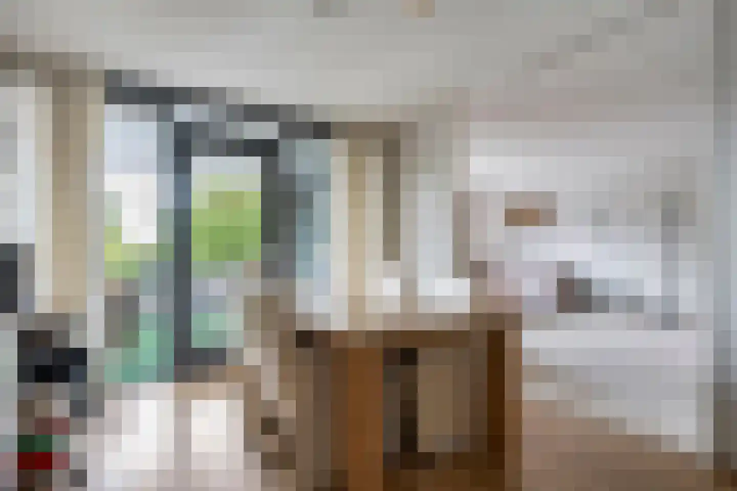 van Echtenstraat 29 22 Hoogeveen thumbnail 9