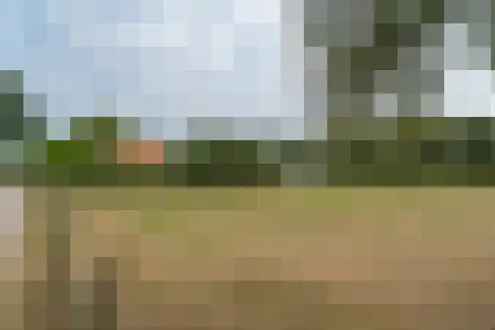 van Echtenswijk 10 Elim thumbnail 10