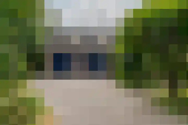 van Echtenswijk 10 Elim thumbnail 11