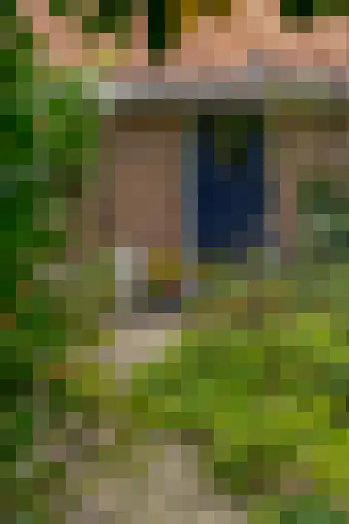 van Echtenswijk 10 Elim thumbnail 13
