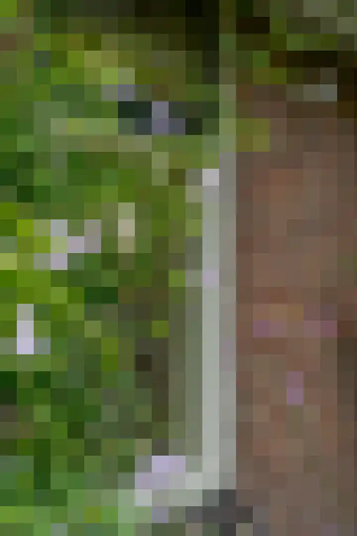 van Echtenswijk 10 Elim thumbnail 14