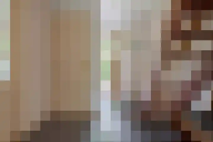 van Echtenswijk 10 Elim thumbnail 15
