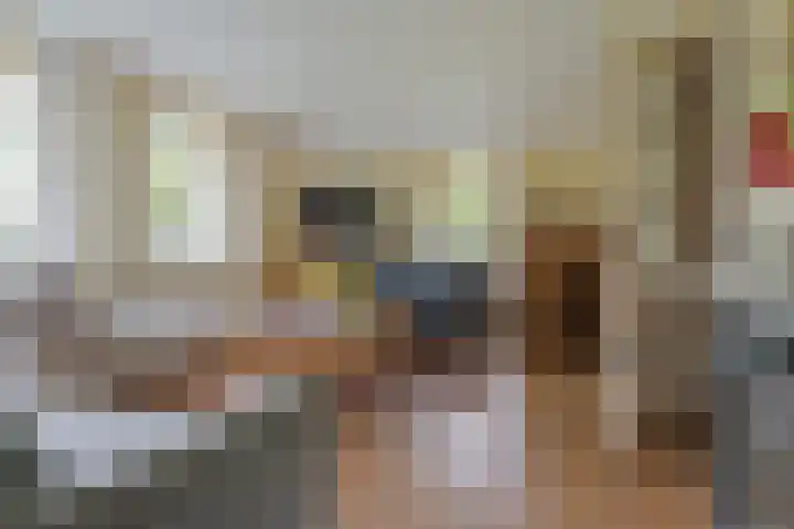 van Echtenswijk 10 Elim thumbnail 17