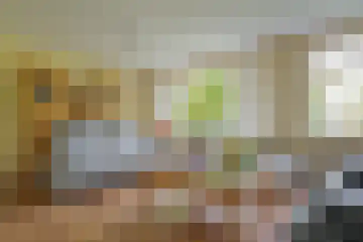 van Echtenswijk 10 Elim thumbnail 18