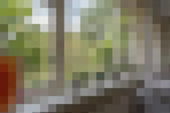van Echtenswijk 10 Elim thumbnail 20