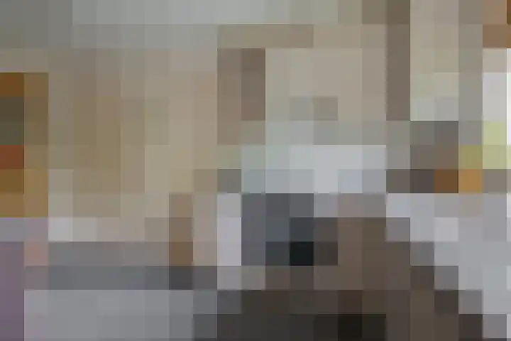 van Echtenswijk 10 Elim thumbnail 26