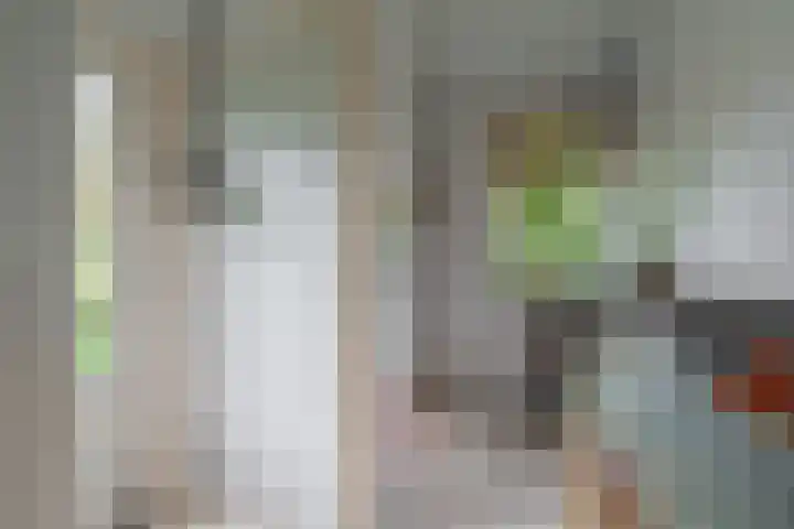 van Echtenswijk 10 Elim thumbnail 27