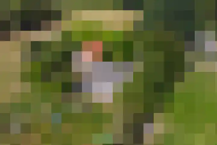 van Echtenswijk 10 Elim thumbnail 4