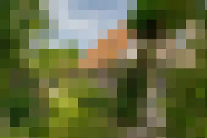van Echtenswijk 10 Elim thumbnail 53