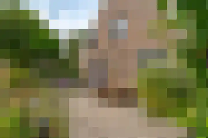 van Echtenswijk 10 Elim thumbnail 54
