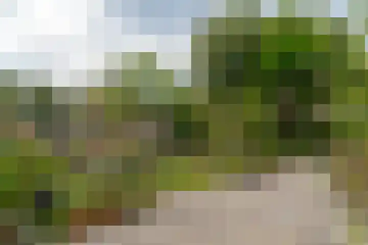 van Echtenswijk 10 Elim thumbnail 55