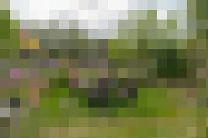 van Echtenswijk 10 Elim thumbnail 56