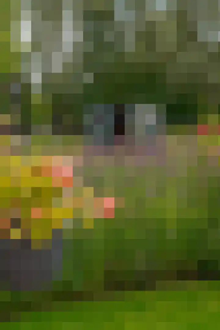van Echtenswijk 10 Elim thumbnail 57