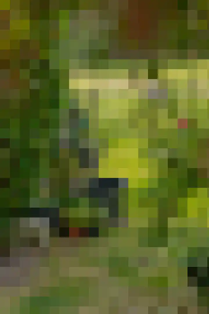 van Echtenswijk 10 Elim thumbnail 59