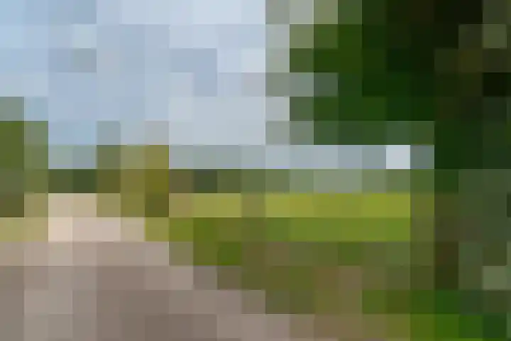 van Echtenswijk 10 Elim thumbnail 6
