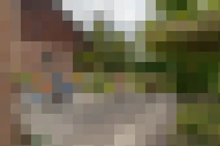 van Echtenswijk 10 Elim thumbnail 61