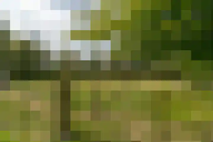 van Echtenswijk 10 Elim thumbnail 64