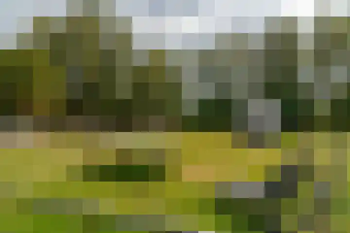 van Echtenswijk 10 Elim thumbnail 65