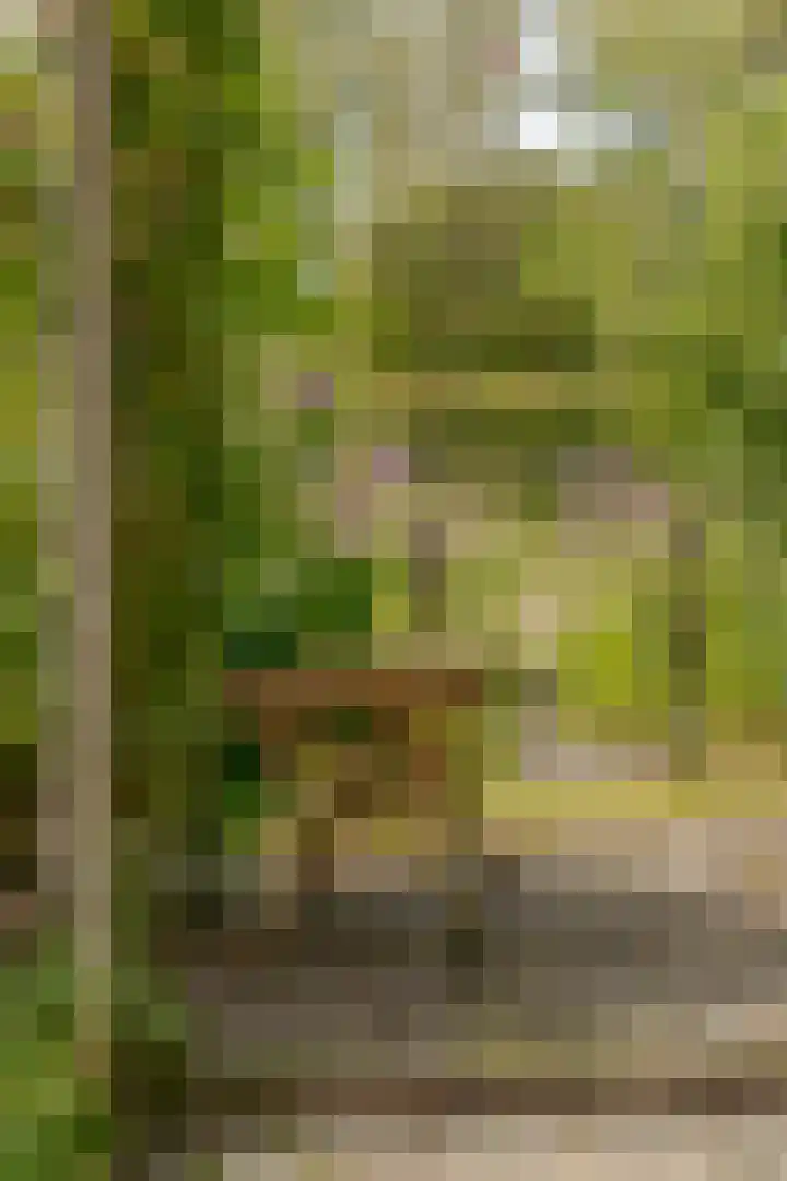 van Echtenswijk 10 Elim thumbnail 68