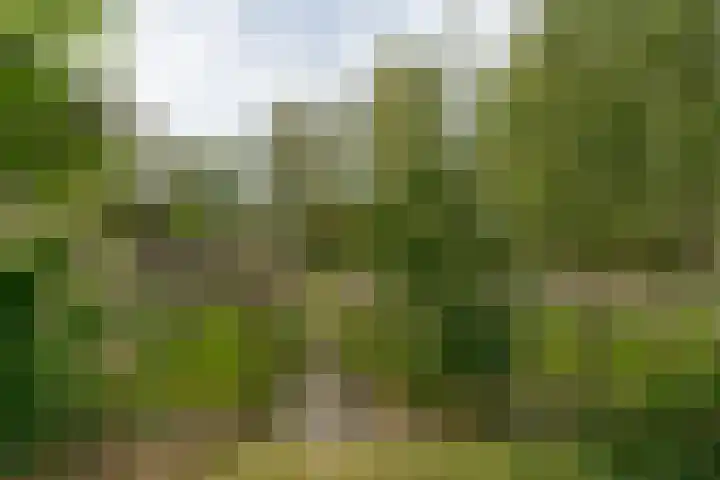 van Echtenswijk 10 Elim thumbnail 71