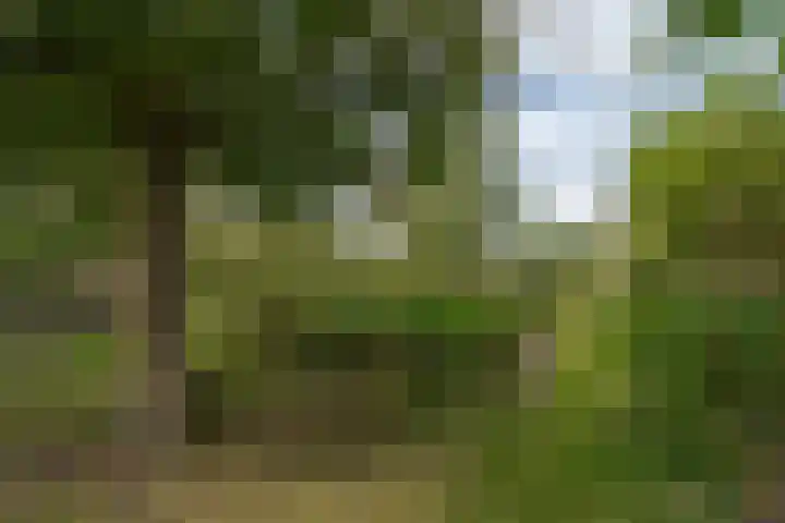 van Echtenswijk 10 Elim thumbnail 73
