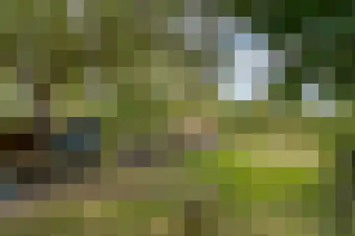 van Echtenswijk 10 Elim thumbnail 74