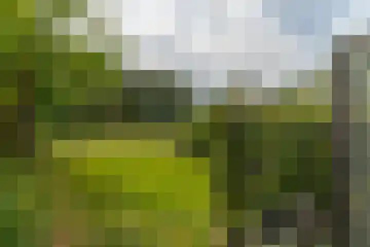 van Echtenswijk 10 Elim thumbnail 77