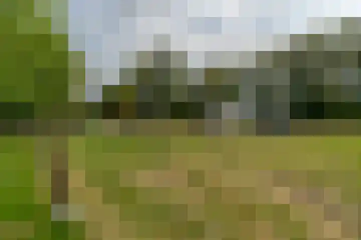 van Echtenswijk 10 Elim thumbnail 78