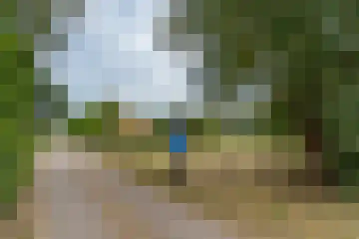 van Echtenswijk 10 Elim thumbnail 8