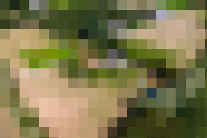 van Echtenswijk 10 Elim thumbnail 80