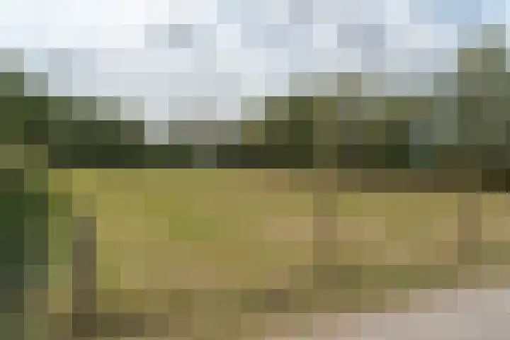 van Echtenswijk 10 Elim thumbnail 9