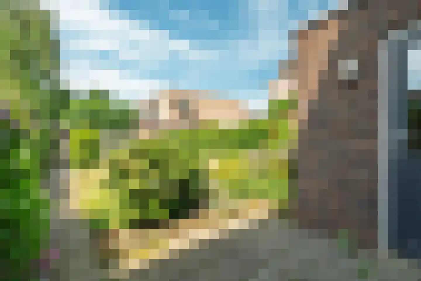 van Eckstraat 14 Wageningen thumbnail 19