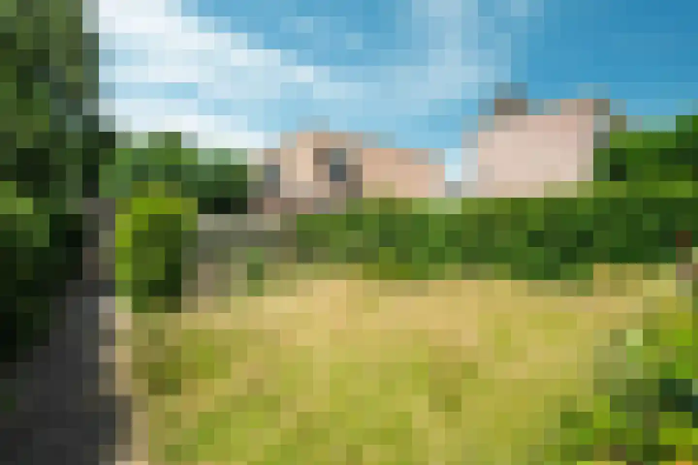 van Eckstraat 14 Wageningen thumbnail 20