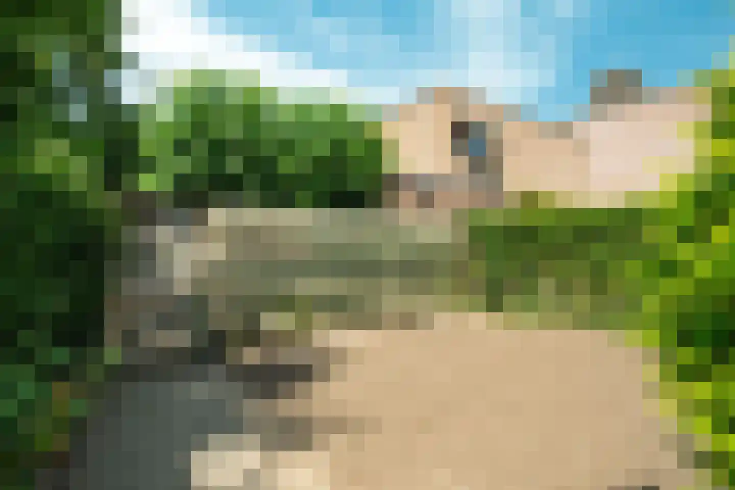 van Eckstraat 14 Wageningen thumbnail 21