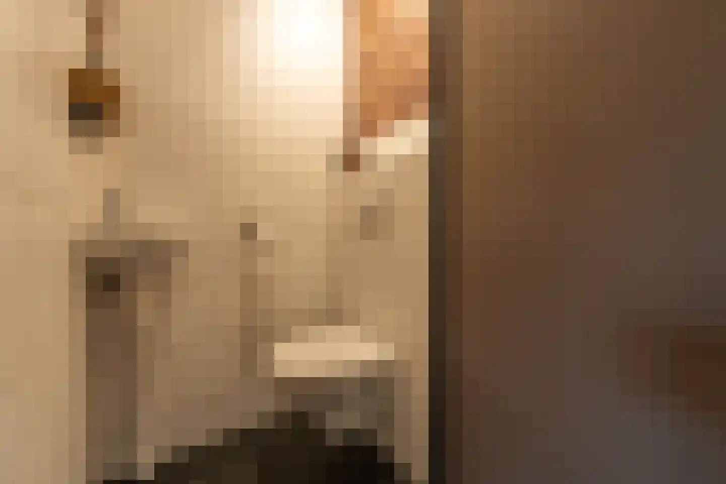 Van Eckstraat 25 Wieringerwerf thumbnail 12