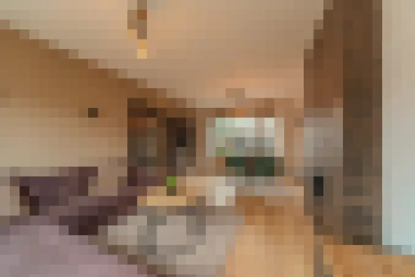 Van Eckstraat 25 Wieringerwerf thumbnail 15