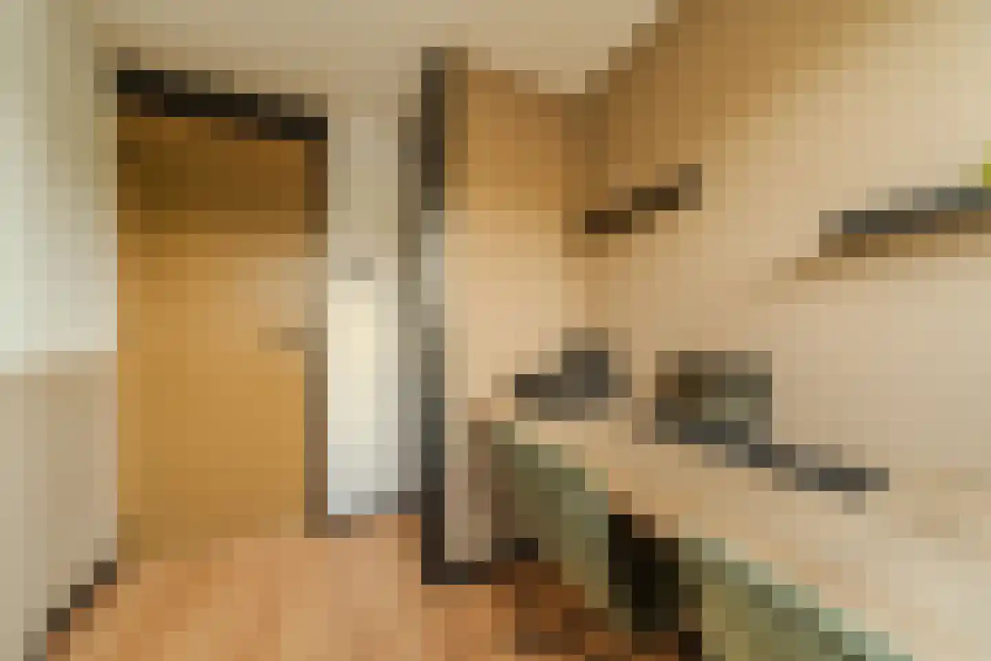 Van Eckstraat 25 Wieringerwerf thumbnail 33