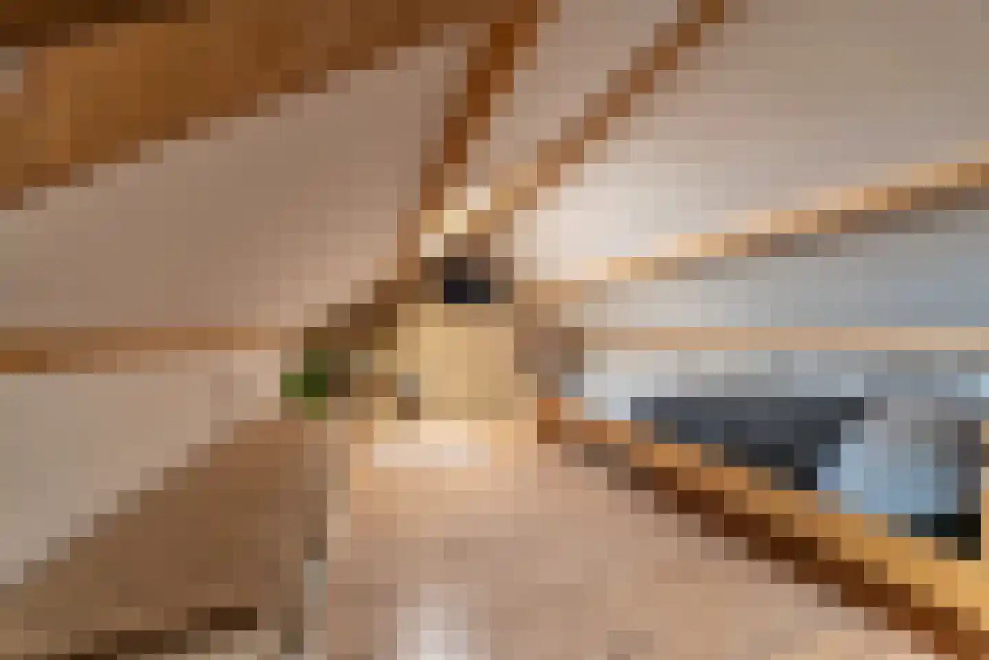 Van Eckstraat 25 Wieringerwerf thumbnail 37
