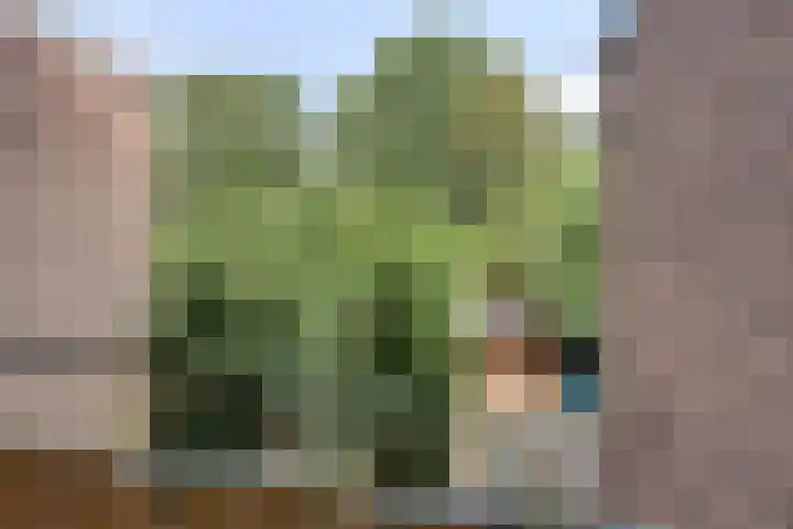 Van Eckstraat 35 Arnhem thumbnail 10