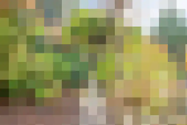 Van Eckstraat 35 Arnhem thumbnail 21