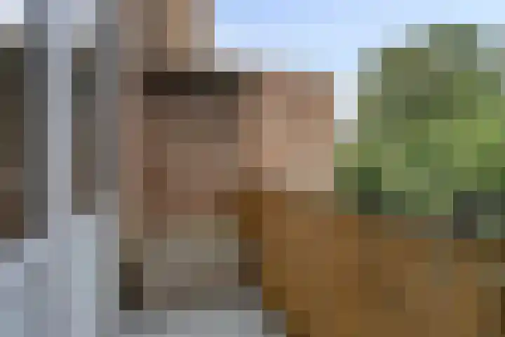 Van Eckstraat 35 Arnhem thumbnail 9