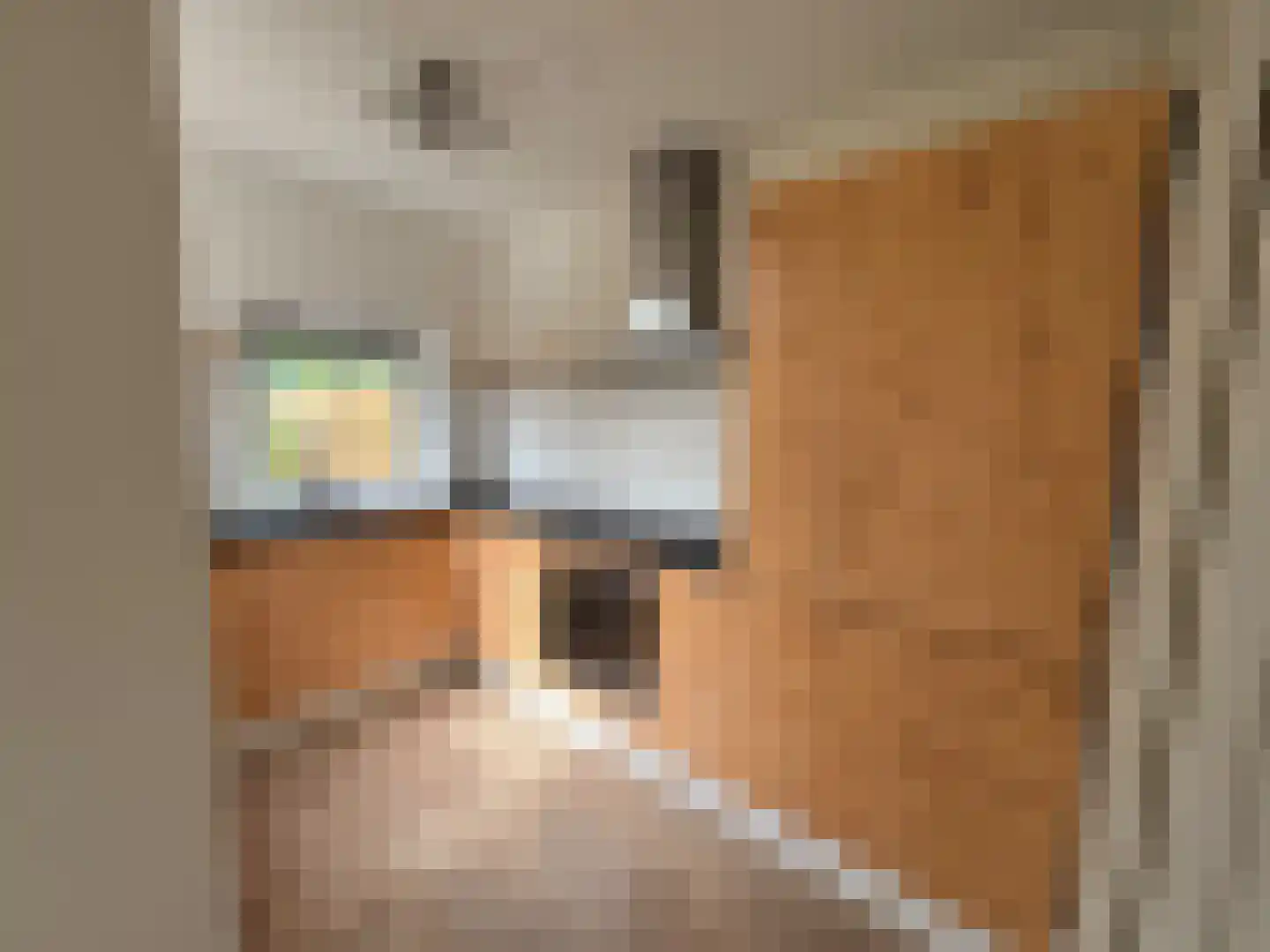Van Eckstraat 5 Wieringerwerf thumbnail 11